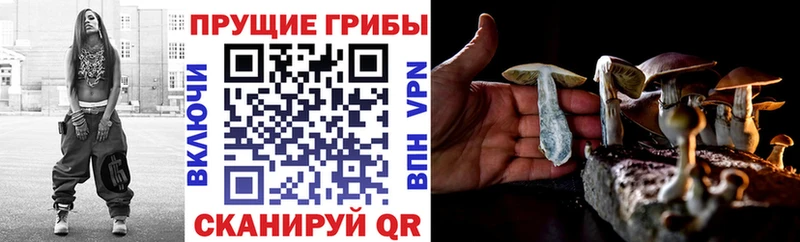 Псилоцибиновые грибы MAGIC MUSHROOMS  Чайковский 