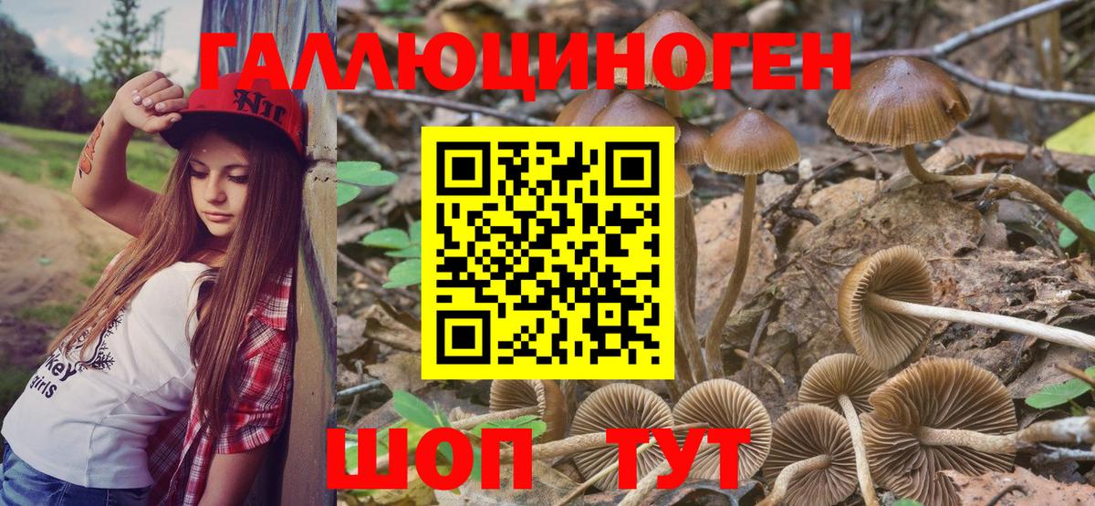 где можно купить   Галлюциногенные грибы Magic Shrooms  Вход с VPN  Чайковский 